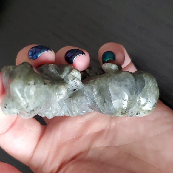 Labradorite Chameleon 🦎 - Picture 5 of 5